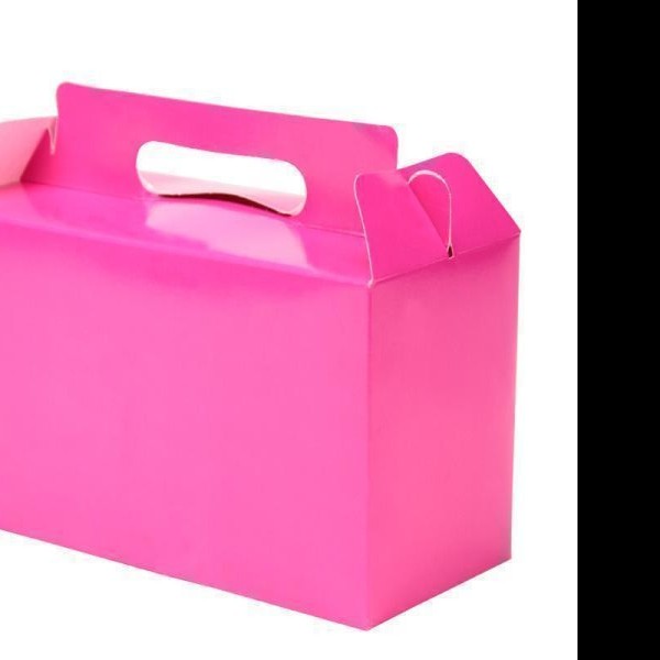 CAJA LONCHERA FIUSHA GOSTECH 19X11X8.5 CM. E.10